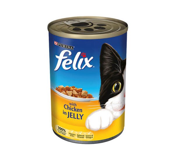 Chicken & Vegetables Food for Dogs